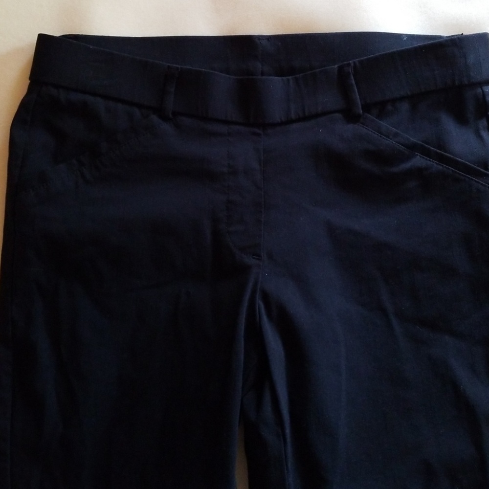 Capri  Dress Pnts worn once